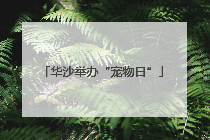 华沙举办“宠物日”