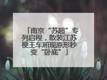 南京“苏超”专列启程，散装江苏梗王车厢现原形秒变“卧底”