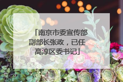 南京市委宣传部副部长张政，已任高淳区委书记