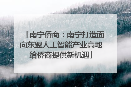 南宁侨商：南宁打造面向东盟人工智能产业高地给侨商提供新机遇