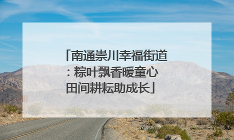 南通崇川幸福街道：粽叶飘香暖童心 田间耕耘助成长