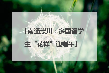 南通崇川：多国留学生“花样”迎端午