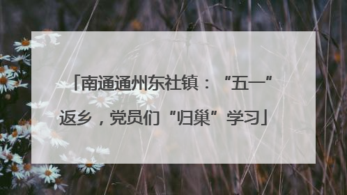 南通通州东社镇：“五一”返乡，党员们“归巢”学习