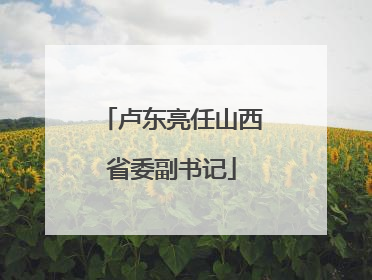 卢东亮任山西省委副书记