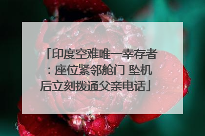 印度空难唯一幸存者：座位紧邻舱门 坠机后立刻拨通父亲电话
