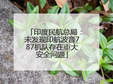 印度民航总局：未发现印航波音787机队存在重大安全问题