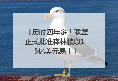 历时四年多！联盟正式批准森林狼以15亿美元易主