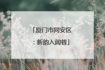 厦门市同安区：新韵入闾巷