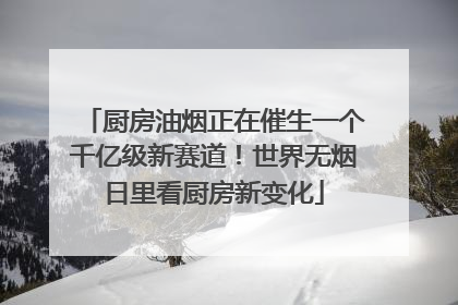 厨房油烟正在催生一个千亿级新赛道！世界无烟日里看厨房新变化