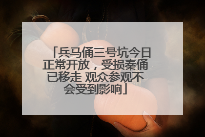 兵马俑三号坑今日正常开放，受损秦俑已移走 观众参观不会受到影响