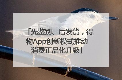 先鉴别、后发货，得物App创新模式推动消费正品化升级
