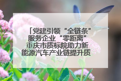 党建引领“全链条” 服务企业“零距离” 重庆市质标院助力新能源汽车产业链提升质量管理水平