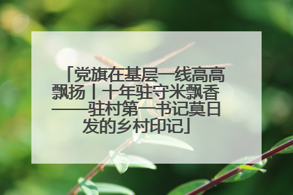 党旗在基层一线高高飘扬丨十年驻守米飘香——驻村第一书记莫日发的乡村印记