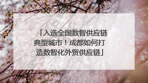 入选全国数智供应链典型城市！成都如何打造数智化外贸供应链