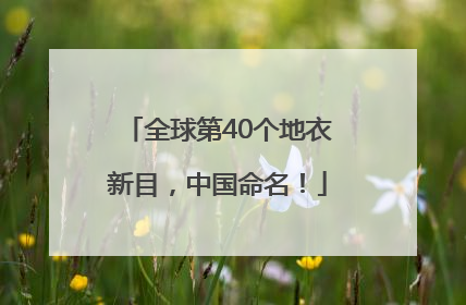全球第40个地衣新目，中国命名！