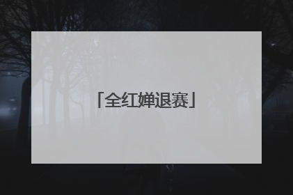 全红婵退赛