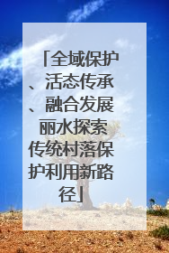 全域保护、活态传承、融合发展 丽水探索传统村落保护利用新路径