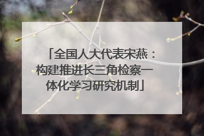 全国人大代表宋燕：构建推进长三角检察一体化学习研究机制