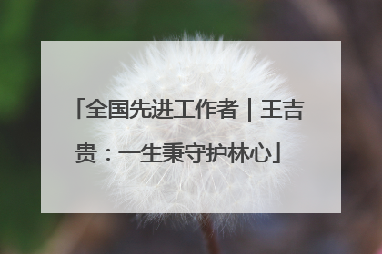 全国先进工作者｜王吉贵：一生秉守护林心