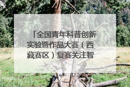 全国青年科普创新实验暨作品大赛（西藏赛区）复赛关注智慧环保等主题