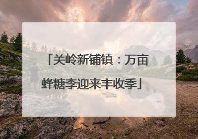 关岭新铺镇：万亩蜂糖李迎来丰收季
