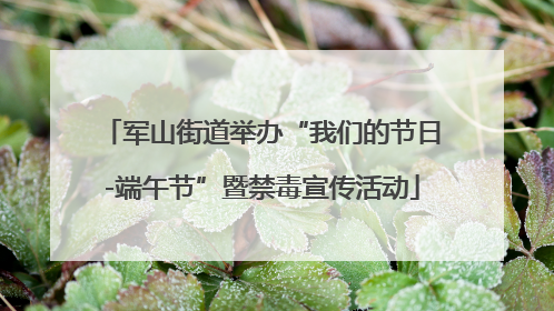 军山街道举办“我们的节日-端午节”暨禁毒宣传活动