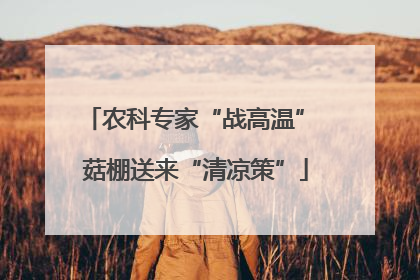 农科专家“战高温” 菇棚送来“清凉策”