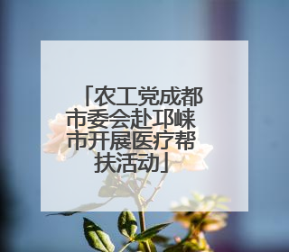 农工党成都市委会赴邛崃市开展医疗帮扶活动