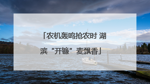 农机轰鸣抢农时 湖滨“开镰”麦飘香