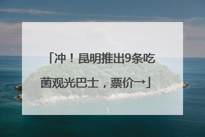 冲！昆明推出9条吃菌观光巴士，票价→