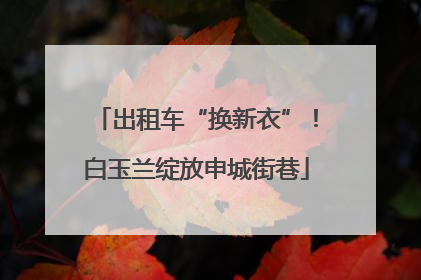 出租车“换新衣”！白玉兰绽放申城街巷