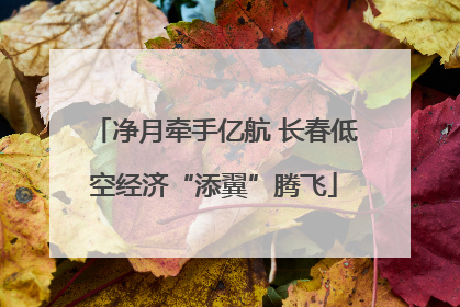 净月牵手亿航 长春低空经济“添翼”腾飞