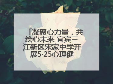 凝聚心力量，共绘心未来 宜宾三江新区宋家中学开展5·25心理健康月活动