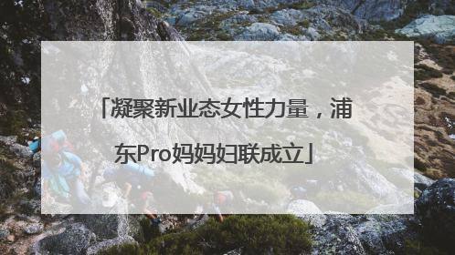 凝聚新业态女性力量，浦东Pro妈妈妇联成立