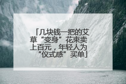 几块钱一把的艾草“变身”花束卖上百元，年轻人为“仪式感”买单