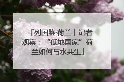 列国鉴·荷兰丨记者观察：“低地国家”荷兰如何与水共生