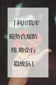 利川筑牢税务合规防线 助企行稳致远