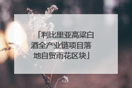 利比里亚高粱白酒全产业链项目落地自贸雨花区块
