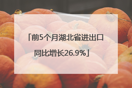前5个月湖北省进出口同比增长26.9%