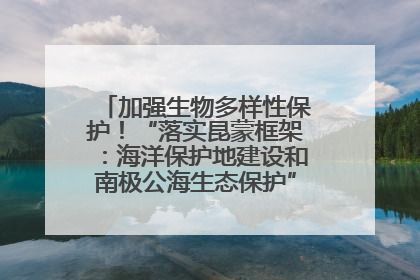 加强生物多样性保护！“落实昆蒙框架：海洋保护地建设和南极公海生态保护”主题论坛将举办