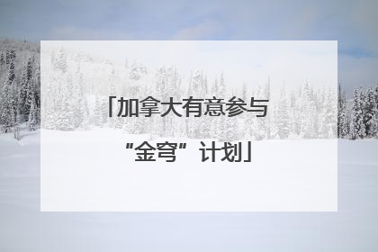 加拿大有意参与“金穹”计划