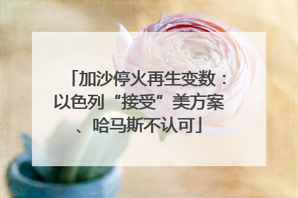 加沙停火再生变数：以色列“接受”美方案、哈马斯不认可