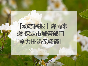 动态播报丨降雨来袭 保定市城管部门全力排涝保畅通