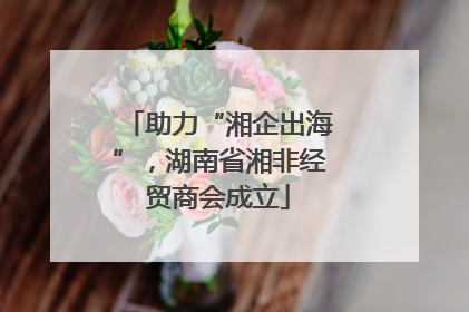 助力“湘企出海”，湖南省湘非经贸商会成立