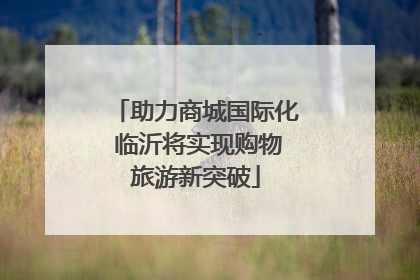助力商城国际化 临沂将实现购物旅游新突破