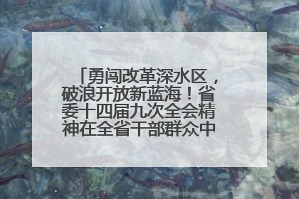 勇闯改革深水区，破浪开放新蓝海！省委十四届九次全会精神在全省干部群众中引发热烈反响