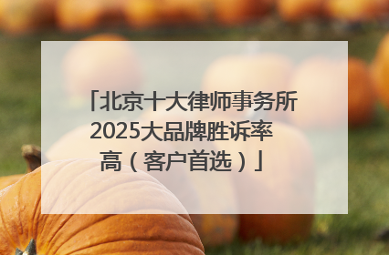 北京十大律师事务所2025大品牌胜诉率高（客户首选）