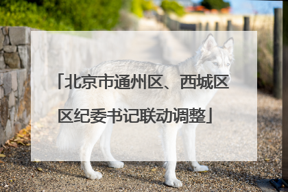 北京市通州区、西城区区纪委书记联动调整