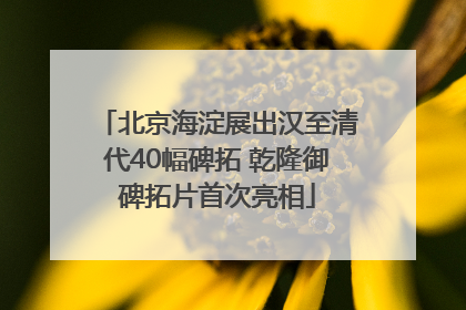北京海淀展出汉至清代40幅碑拓 乾隆御碑拓片首次亮相