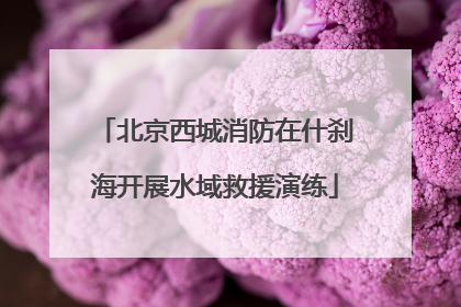 北京西城消防在什刹海开展水域救援演练